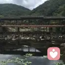 锦凯汽贸宋泽彬的头像