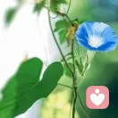 沙盘治疗（数字心理）的头像