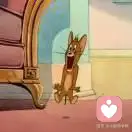 汤姆抓不到的老鼠的头像