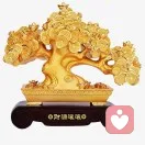 知安的头像