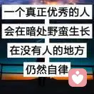 我是小王的头像