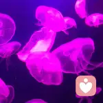 Miss trouble的头像