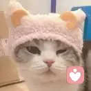 可能數學已經放棄我了的頭像