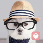 别不好意思的头像