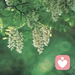 乐馨儿—心理咨询师的头像