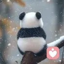 黄新前的头像