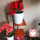 大师戒素的头像