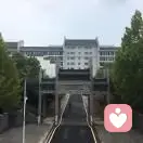 左手倒影的头像