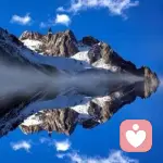 内部专家咨询师的头像