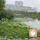 真诚希望的头像