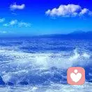 海洋的头像