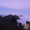 玖儿