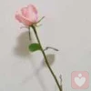 玖月