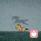 笨笨的头像