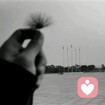 我是什么时候开始变的?？的头像