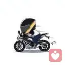 影子你陪着我累吗的头像