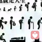 追求快乐的生活的头像