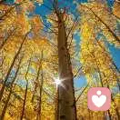 雨过天晴的头像