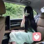 倾尽年华终是梦的头像