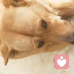 打破陈规旧俗的头像