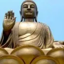 暖心秒回倾听师