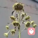 海闊天空的頭像
