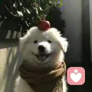 梦中笔的头像