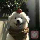 梦中笔
