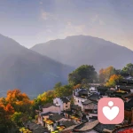 ____＇芭黎的风、吹到纽约的头像