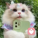 祢的小朋友的头像