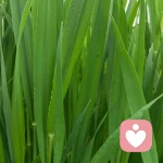 信仰改不了信念的头像