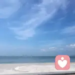 睡在树上的鱼的头像