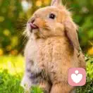 伤心伤肺上你妹的头像