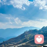 落地丶请开手机的头像