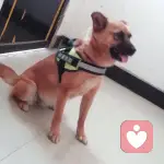 扎就扎呗的头像