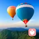 ノ(°_°ノ)呆的头像