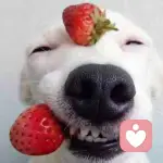 我想要赢的头像