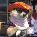 煙雨過客的头像