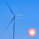 琴子的头像