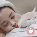 无人疼的猫，依然要傲娇的头像