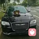 a		小嗑唠的稀碎的头像