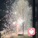 梦魇的头像