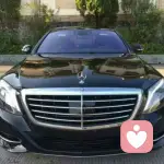 知	行	悔	正的头像