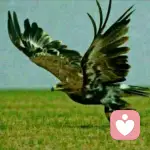 浪迹天涯的头像