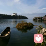 混世大魔王的头像