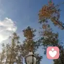 掛件的頭像