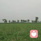 前人的头像