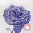 阿俊ﾍﾍ的头像