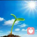 小雨优优的头像