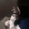 21202711